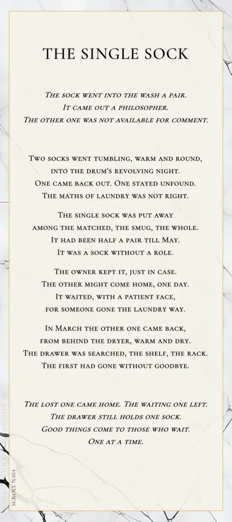 A modern fable in verse. Wise Monkey Wrought scroll N.014, "The Single Sock." The sock went into the wash a pair. It came out a philosopher. The other one was not available for comment. Two socks went tumbling, warm and round, into the drum's revolving night. One came back out. One stayed unfound. The maths of laundry was not right. The single sock was put away among the matched, the smug, the whole. It had been half a pair till May. It was a sock without a role. The owner kept it, just in case. The other might come home, one day. It waited, with a patient face, for someone gone the laundry way. In March the other one came back, from behind the dryer, warm and dry. The drawer was searched, the shelf, the rack. The first had gone without goodbye. The lost one came home. The waiting one left. The drawer still holds one sock. Good things come to those who wait. One at a time.